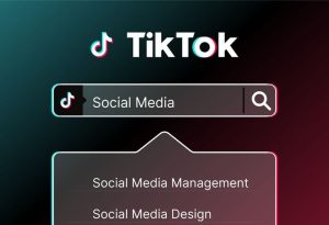 TikTok推出全新搜索广告功能，强势挑战谷歌